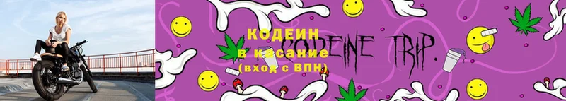 блэк спрут ссылки  Балахна  Кодеин Purple Drank  как найти закладки 